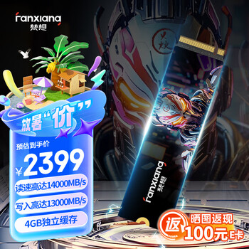梵想(FANXIANG)4TB SSD固态硬盘 M.2接口NVMe协议PCIe5.0 独立缓存高速游戏 S910Max读速高达14000MB/s