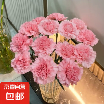 康乃馨 鲜切花品种颜色随机发 110支