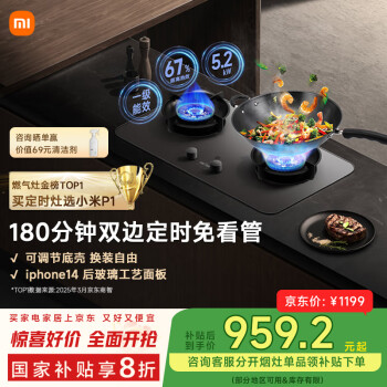 米家 MIJIA MJ03CY 燃气灶 P1 天然气