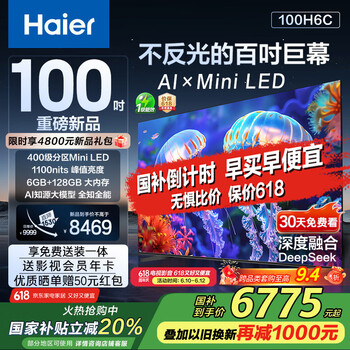 国家补贴、PLUS会员：国民AI电视100H6C