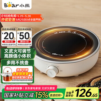 小熊(Bear)迷你电陶炉 煮茶器煮茶炉煮茶壶 养生围炉煮茶老白茶黑茶花茶泡茶不挑器具 DTL-J13N3