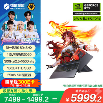 机械革命蛟龙16Pro 2025 16英寸游戏电竞笔记本电脑(R9-8945HX 16G 1T RTX5060 300HZ 2.5K 灰)