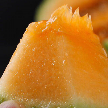 【产地现摘】正宗新疆哈密瓜3-7斤批发西州小蜜25甜瓜新鲜水果 仅亏3