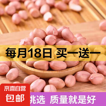 现剥新白沙花生米五谷杂粮粒大米新货花生粉皮大粒花生米无壳 精选大粒(1斤装 500g)
