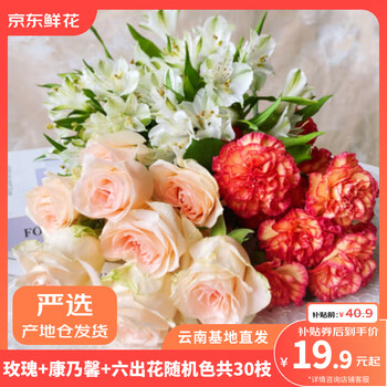 移动端、京东百亿补贴：京东鲜花 玫瑰康乃馨六初30枝鲜切花组合家庭送爱人云南产地仓源头直发