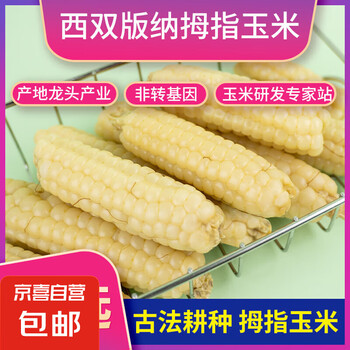 【京东快递】四小时采摘精品级西双版纳拇指玉米真空即食独立包装 1斤约10根