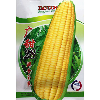 蔬菜种子 广甜28鲜食玉米种子 甜玉米种子玉米棒子种籽大棒口感香糯