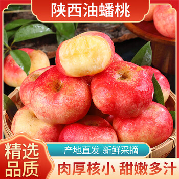 康田汇 当季现摘 精选18-24个单果40-60g 源头直发