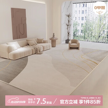 布迪思地毯客厅卧室现代简约风沙发茶几垫满铺加厚可定制大面积床边毯 时代 140*200CM