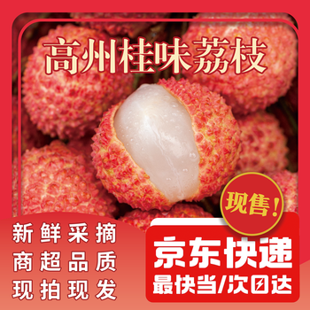 荔晓味 桂味荔枝 净重4.5斤 单果13g+
