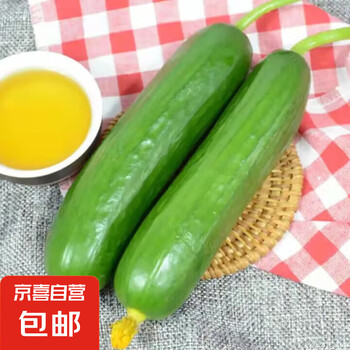 水果小黄瓜荷兰黄瓜新鲜蔬菜生鲜早餐减肥减脂现摘生吃 囤货装 4斤 净重