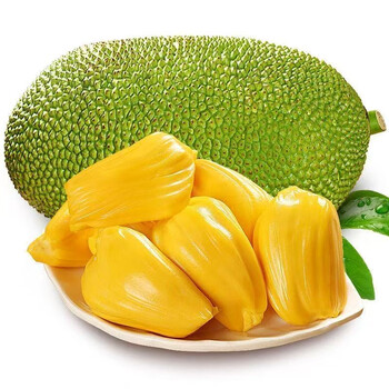 雪束海南黄肉菠萝蜜新鲜水果当季整个波罗蜜热带干苞 黄肉菠萝蜜 10-14斤(一个果)