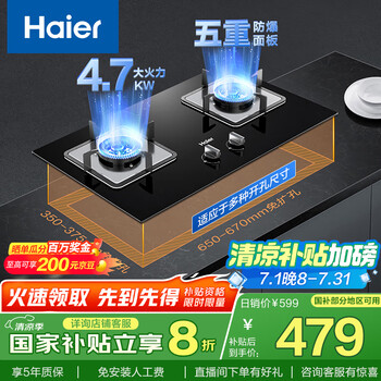 海尔(Haier)燃气灶天然气 嵌入式双灶具 4.7kw大火力自动熄火保护 五重安全防护 政府补贴20%燃气灶Q2BE1(天)