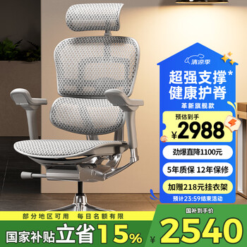 Ergonor保友金豪e 2代高端人体工学椅 电脑椅子 办公椅家用电竞椅老板椅 银白美国网 整椅发货 送货上门
