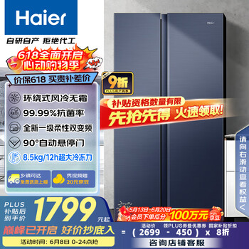 海尔 Haier 星蕴系列对开门冰箱 618L BCD-618WGHSSEDBL