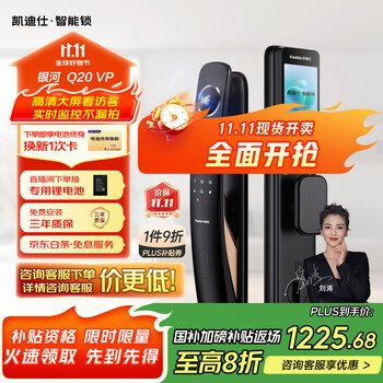 国家补贴：凯迪仕 kaadas 银河Q20 VP 智能门锁