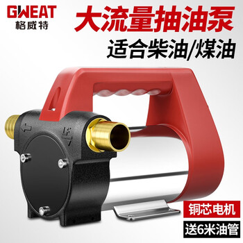 格威特电动抽油泵12V24V220V直流交流加油泵柴油输油泵加油机 升级24V油泵