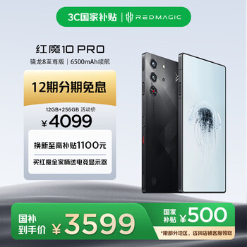 努比亚（nubia）红魔10 Pro 12GB+256GB暗夜骑士 骁龙8至尊版移动平台 1.5K屏下摄像 旗舰电竞游戏手机 国家补贴