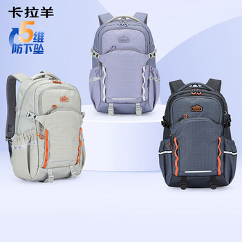 PLUS会员：Carany 卡拉羊 中学生五维减负考拉抱抱包 CX5537