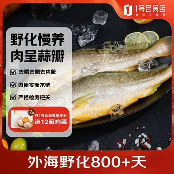 1号会员店 冷冻深海野化三去黄花鱼 宁德大黄鱼800g/2条装盒装 海鱼 年货节
