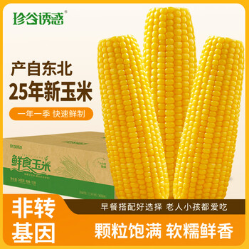 珍谷诱惑25年东北糯玉米新玉米黄糯玉米棒早餐玉米粗粮代餐零食 黄糯玉米10支