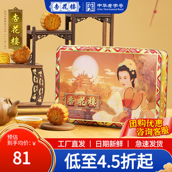 杏花楼中华老字号广式月饼豆沙五仁蛋黄莲蓉椰蓉月饼礼盒老式月饼中秋 【10饼5味】迷你铁盒600g