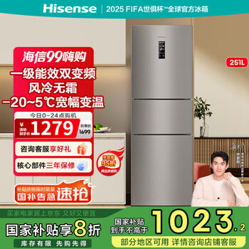 海信 Hisense 冰箱小型 家用电冰箱三开门 一级能效风冷无霜 251升小冰箱 小户型 BCD-251WYK1DPJ