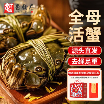 【活蟹】蟹叁钳庄鲜活大闸蟹现货全母蟹3.0-3.3两8只螃蟹去绳足重海鲜中秋礼盒