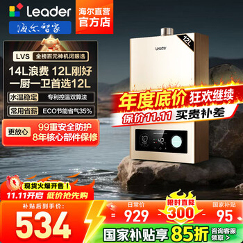 国家补贴：Leader 智家出品Leader系列燃气热水器变频风机ECO节能热水器 12L 高配低价行业爆款 主推款