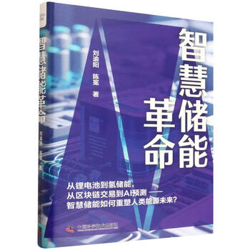 《智慧储能革命》