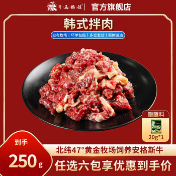 齐函杨佳齐齐哈尔拌肉十二选六件生鲜雪花牛肉食材烧烤烤肉火锅半成品组合 韩式拌肉250g
