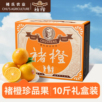 褚橙 云南冰糖橙  珍品果 XXL 10斤装 单果约200g起 生鲜水果礼盒
