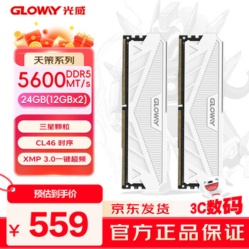 光威 24GB(12GBx2) DDR5 5600 台式机内存条 天策 马甲条 三星颗粒 CL46 皓月白
