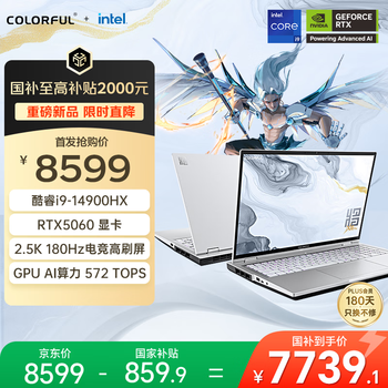 七彩虹（Colorful）将星 X16 Pro 14代酷睿i9 16英寸游戏笔记本电脑( i9-14900HX 16G 1T RTX5060 180Hz）