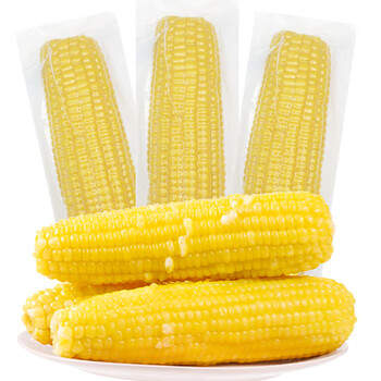 珍谷诱惑25年东北糯玉米新玉米黄糯玉米棒早餐玉米粗粮代餐零食 黄糯玉米10支 2.4kg