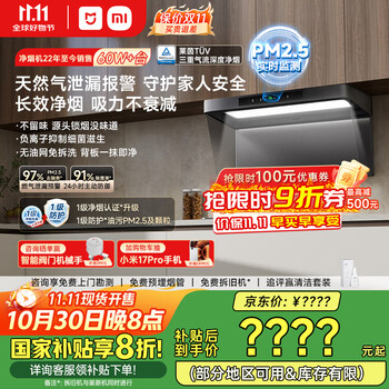 国家补贴、限地区：米家 MIJIA P2系列 CXW-165-MJ06CY 欧式吸油烟机 深空灰