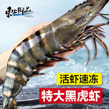 东上御品黑虎虾超大新鲜大虾老虎虾鲜活虎虾基围虾特大斑节虾海鲜 2斤(净重)  黑虎虾【15-17cm】