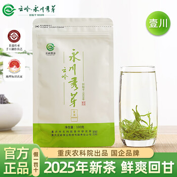 云岭茶业 YUNLING TEA 永川秀芽（一川）100g袋装