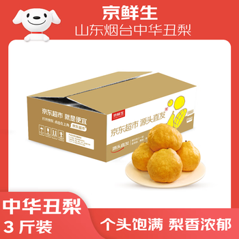 京鲜生 山东烟台中华丑梨 净重3斤 单果200g+  生鲜水果 源头直发