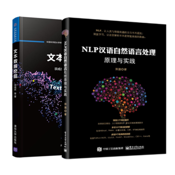 2册 文本数据挖掘+NLP汉语自然语言处理原理与实践 NLP技术书籍 统计自然语言处理基础 NLP文