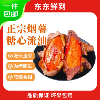 鲁禧 东东鲜到正宗山东烟薯爆甜中果 4.5斤（单果150g+）