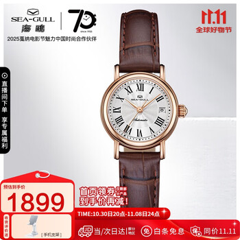 海鸥（SEAGULL）手表女士自动机械表 小玲珑女士手表 生日礼物女表519.11.1046L