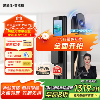 凯迪仕(kaadas)智能门锁 可视猫眼大屏指纹锁人脸全自动 智能锁 银河Q20F Pro V2