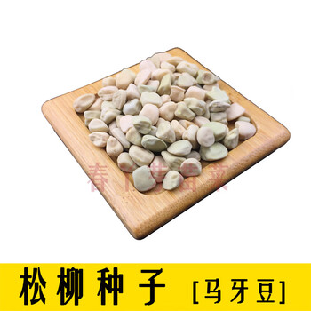 松柳500克 夏天容易烂