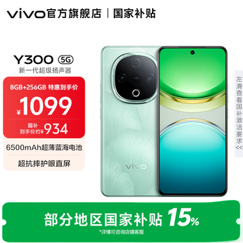 vivo Y300 国家补贴 新一代超级扬声器 6500mAh超薄蓝海电池 超抗摔护眼直屏 拍照 AI 手机 青松 8GB+256GB 官方标配