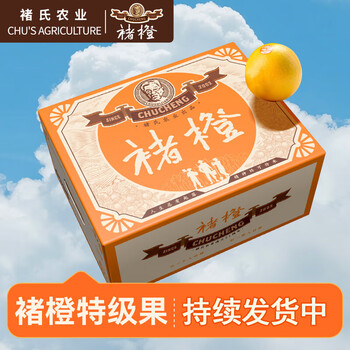 褚橙 云南冰糖橙  特级果 XL10斤装 单果约165g起 生鲜水果礼盒