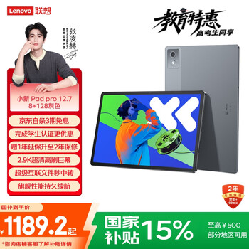 联想小新PadPro12.7 2025款平板电脑 国家补贴15% 2.9K高刷全面屏 娱乐学习 10200mAh 8+128G大象灰