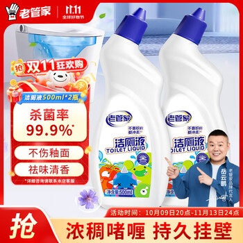 老管家 洁厕灵液 马桶清洁除菌除垢除臭 500ml*2瓶 清香型