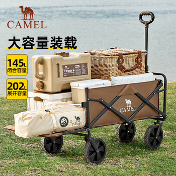 骆驼 营地车  174CJ51639