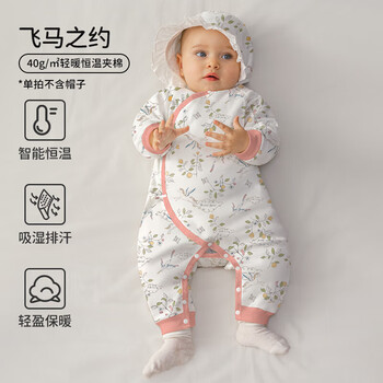 欧孕（OUYUN）新生儿秋冬夹棉连体衣婴儿棉服冬季加厚蝴蝶衣外出服哈衣爬服 飞马之约 【秋冬夹棉】 90cm